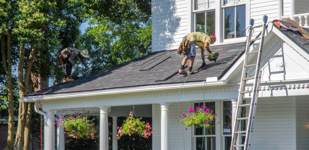 Roof Moss and Algae Removal